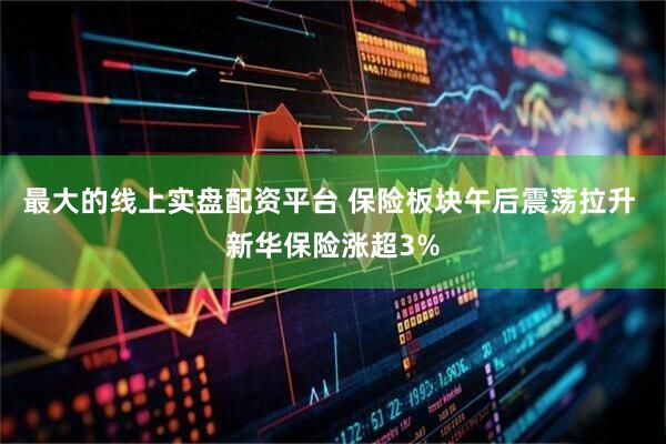 最大的线上实盘配资平台 保险板块午后震荡拉升 新华保险涨超3%