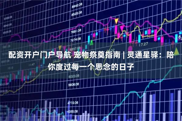 配资开户门户导航 宠物祭奠指南 | 灵通星驿：陪你度过每一个思念的日子